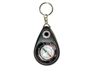 Compass with thermometer