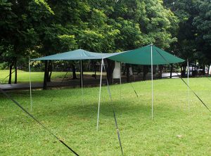 Only Member April 2026